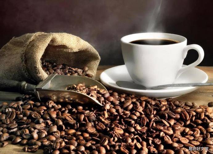 ：品质赋能领跑千亿赛道不朽情缘速溶咖啡代工(图6)