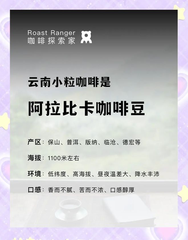 彩云之南的馥郁传奇不朽情缘云南咖啡：(图8)