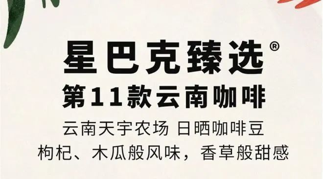 彩云之南的馥郁传奇不朽情缘云南咖啡：(图5)