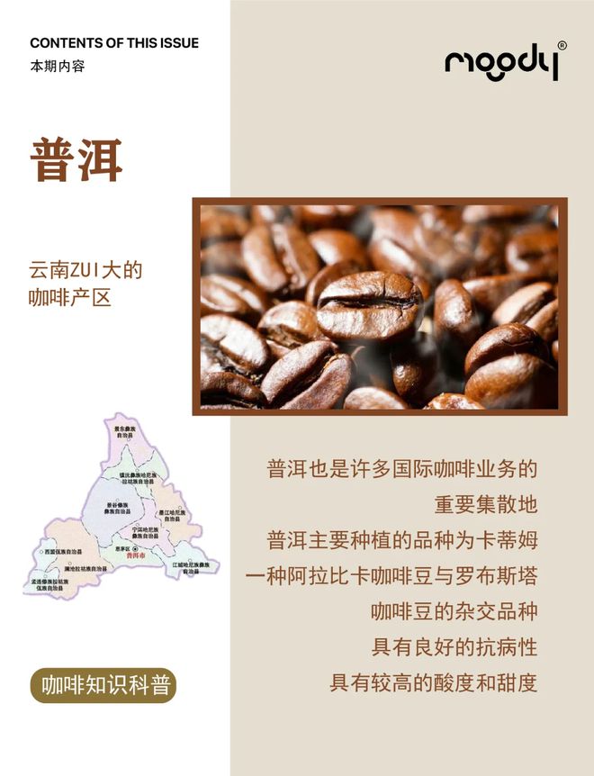 彩云之南的馥郁传奇不朽情缘云南咖啡：(图11)